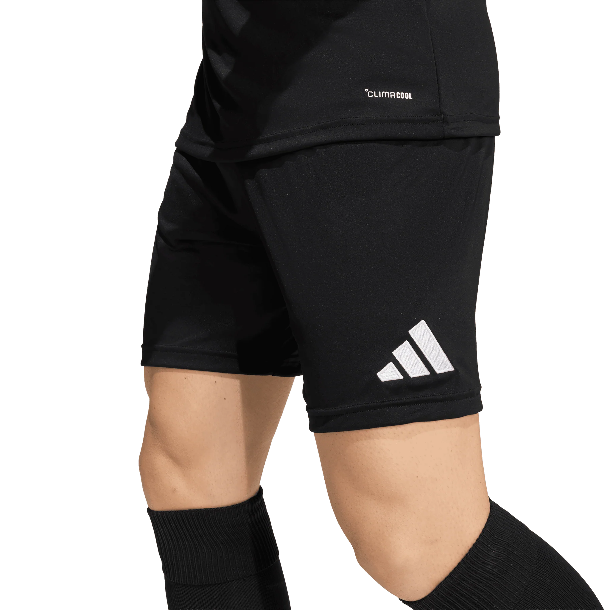 Adidas Entrada 26 Shorts