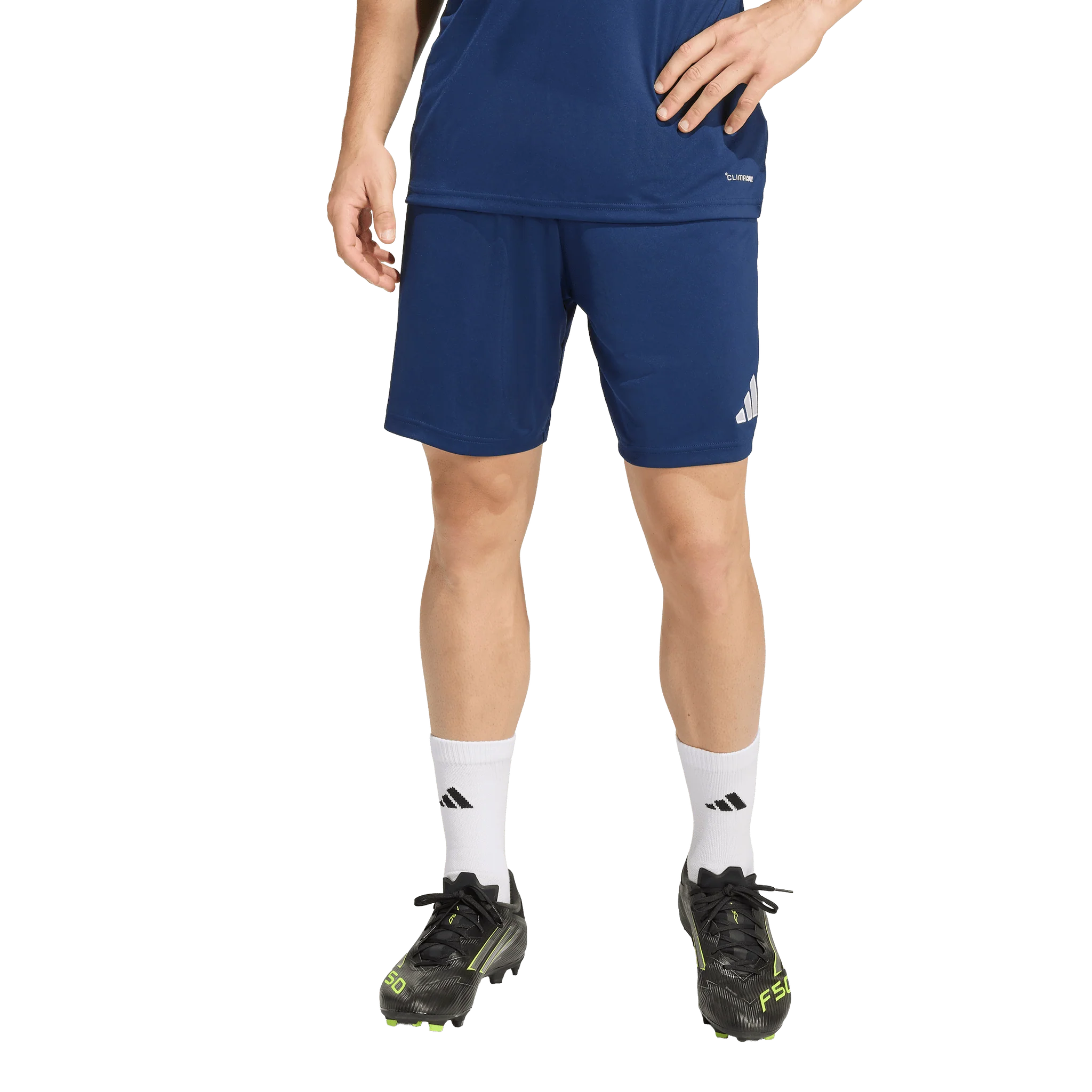 Adidas Entrada 26 Shorts