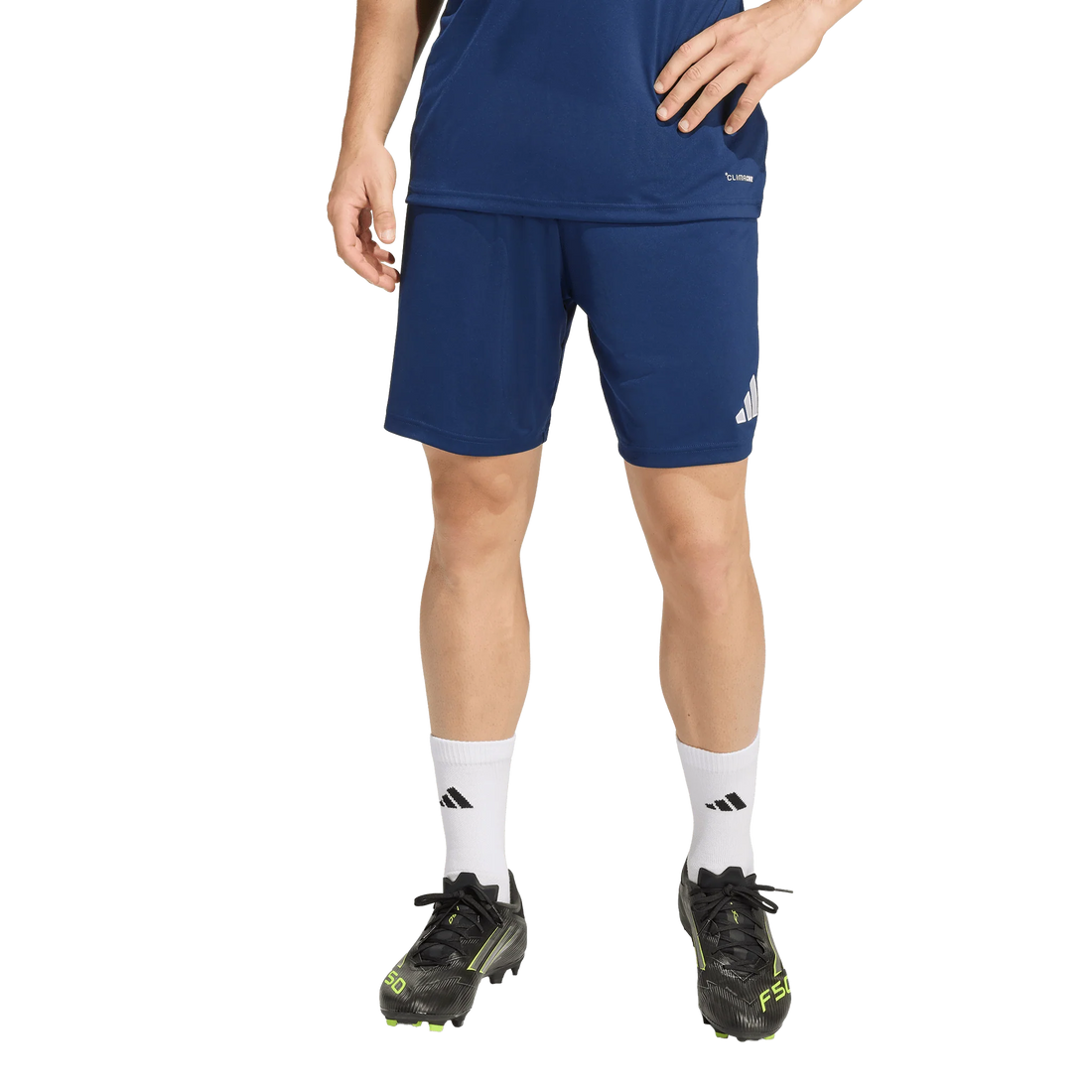 Adidas Entrada 26 Shorts