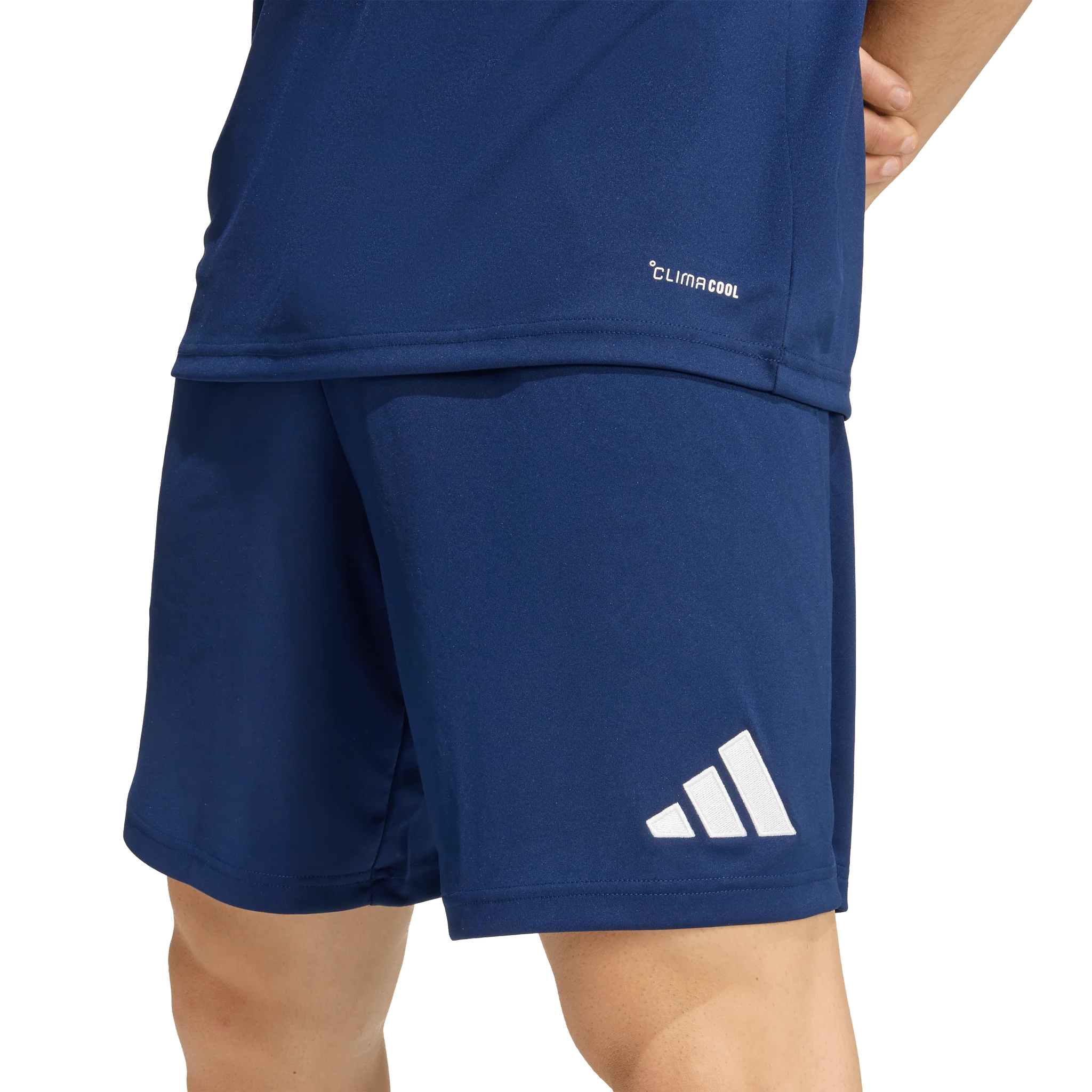 Adidas Entrada 26 Shorts