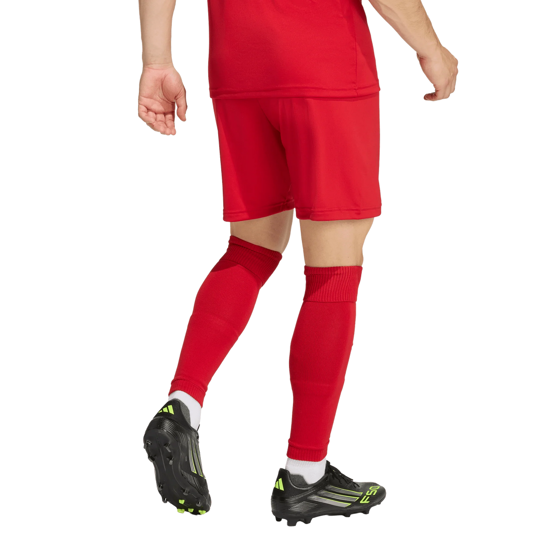 Adidas Entrada 26 Shorts