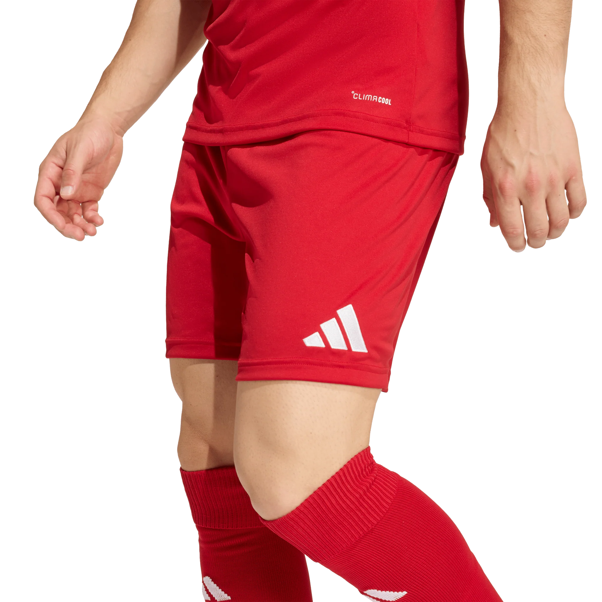 Adidas Entrada 26 Shorts