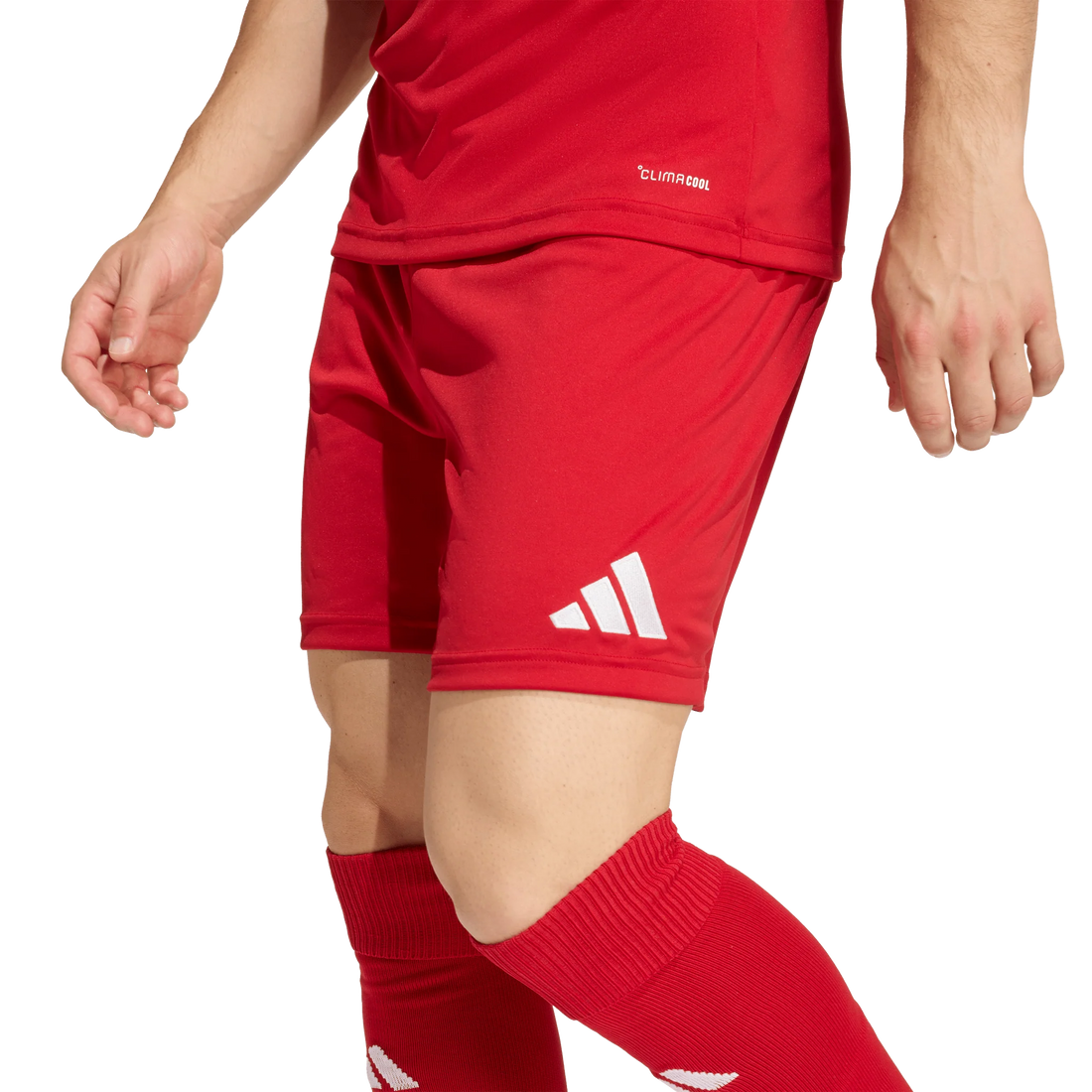 Adidas Entrada 26 Shorts