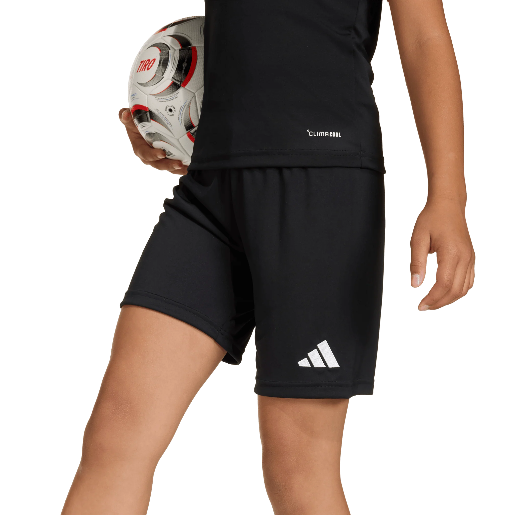 Adidas Entrada 26 Youth Shorts