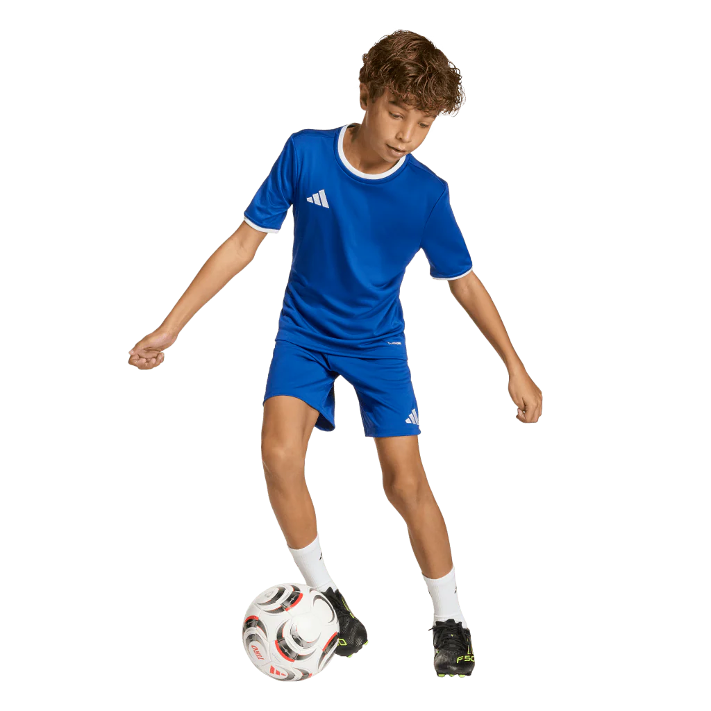 Adidas Entrada 26 Youth Shorts