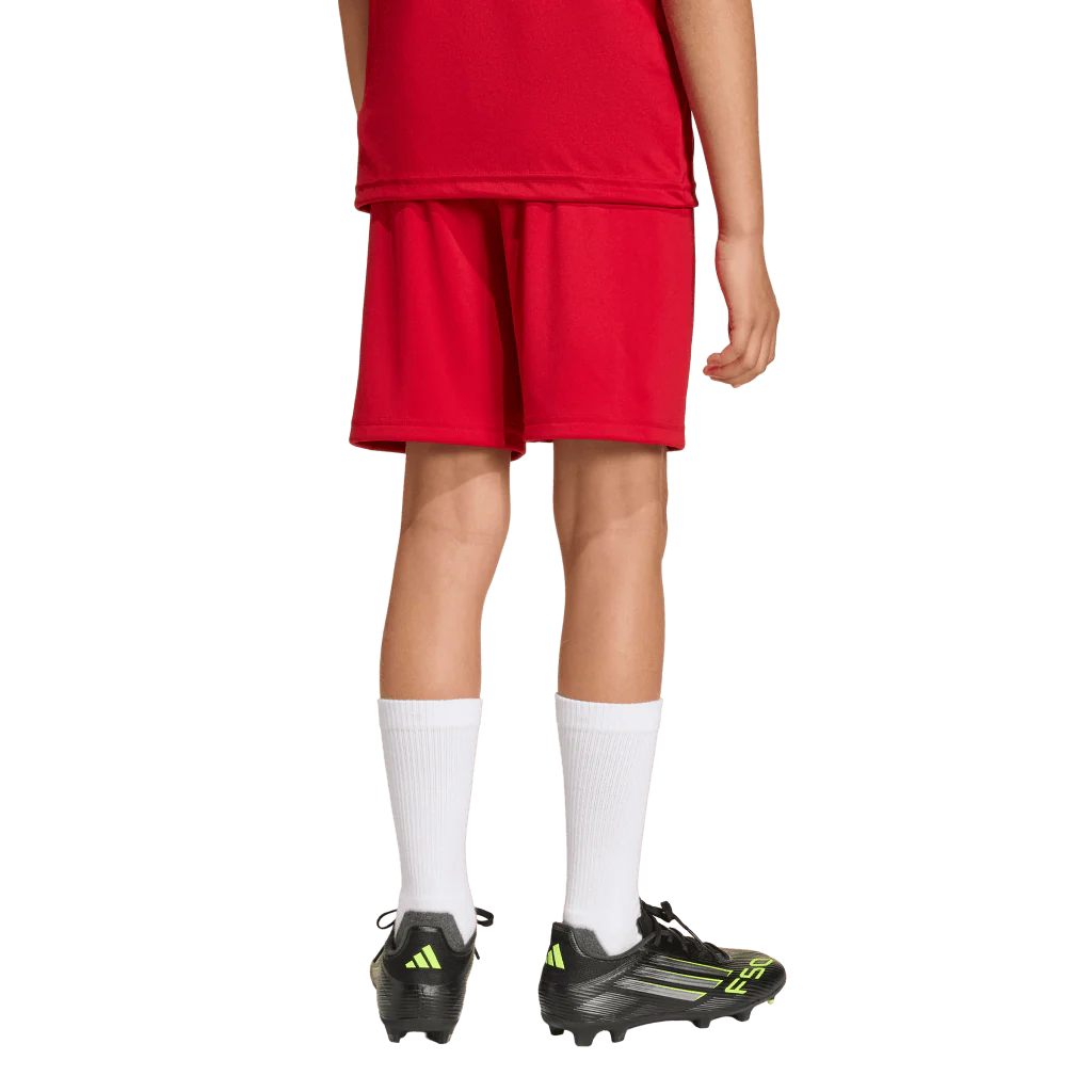 Adidas Entrada 26 Youth Shorts