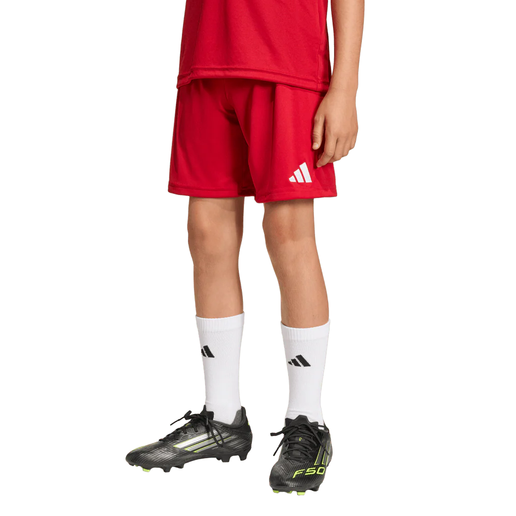 Adidas Entrada 26 Youth Shorts