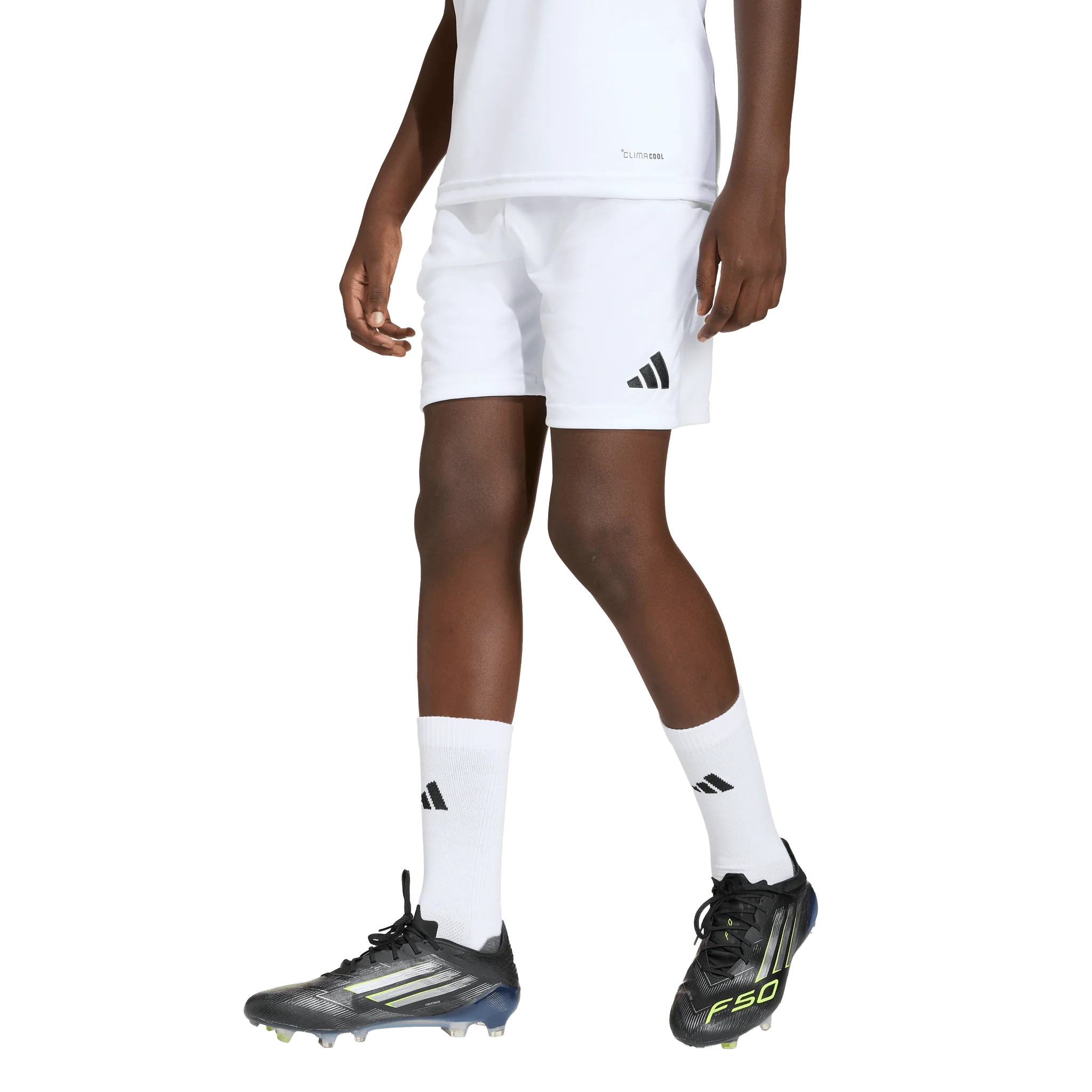 Adidas Entrada 26 Youth Shorts