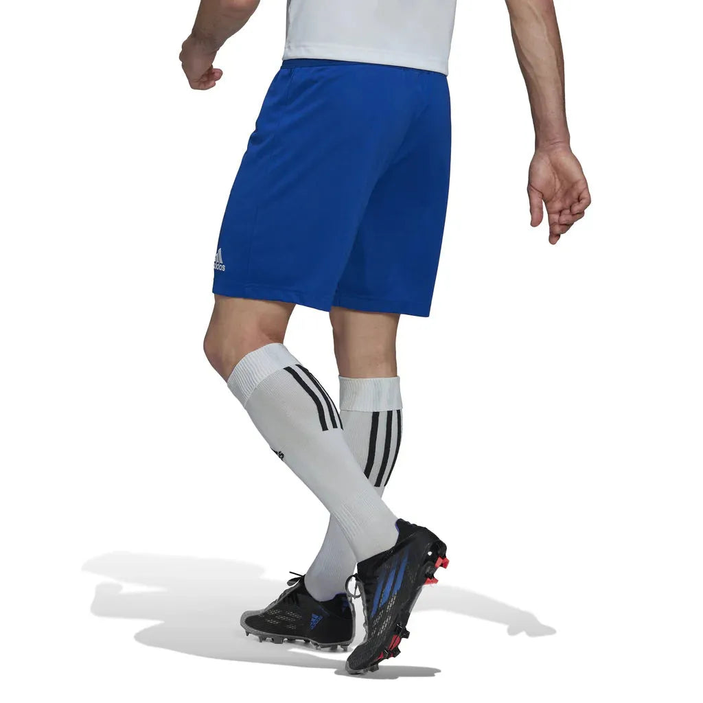 Empulse™ Adidas Entrada 22 Shorts royal blue on model back